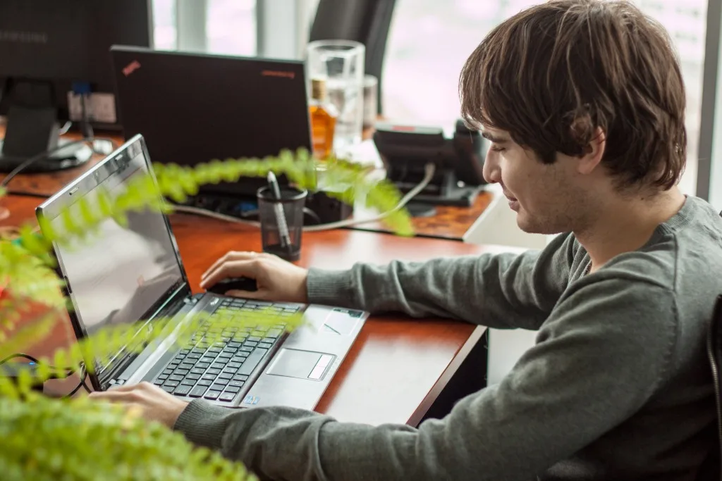 web developer