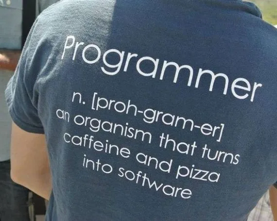 definition of a programmer 313802